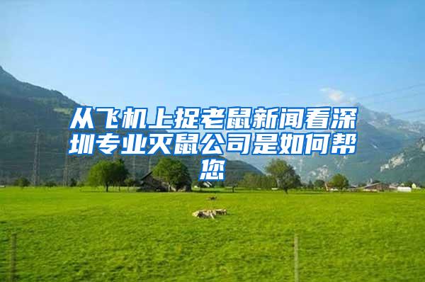 從飛機(jī)上捉老鼠新聞看深圳專業(yè)滅鼠公司是如何幫您