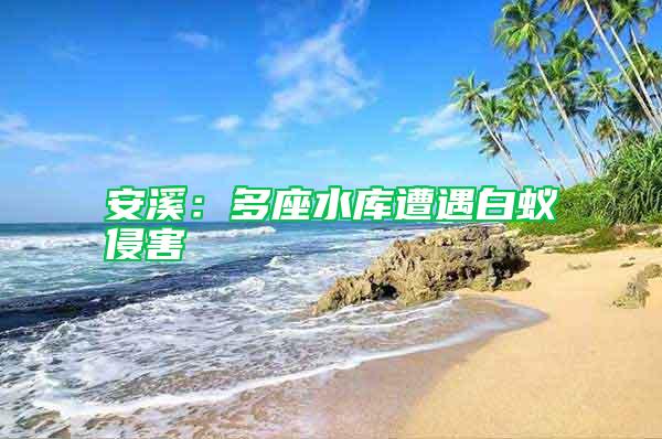 安溪：多座水庫遭遇白蟻侵害