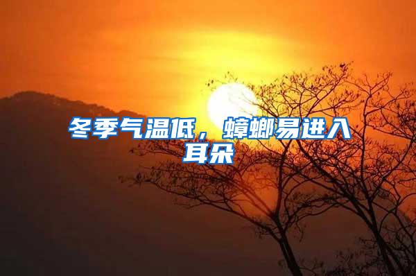 冬季氣溫低，蟑螂易進(jìn)入耳朵