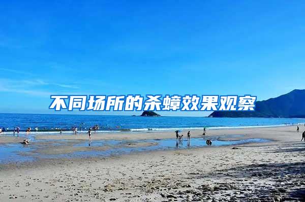不同場(chǎng)所的殺蟑效果觀察