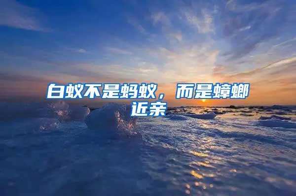 白蟻不是螞蟻,而是蟑螂近親