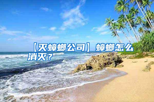【滅蟑螂公司】蟑螂怎么消滅？