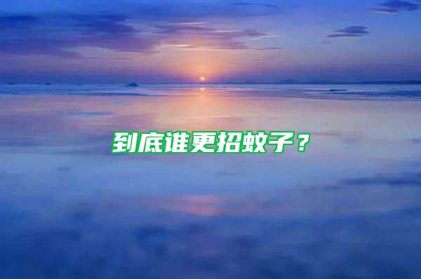 到底誰更招蚊子？