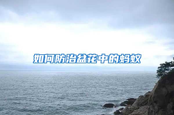 如何防治盆花中的螞蟻