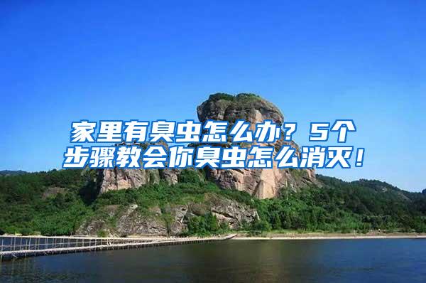 家里有臭蟲怎么辦?5個步驟教會你臭蟲怎么消滅!