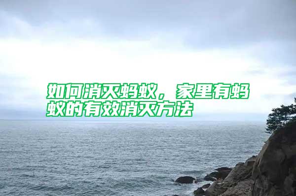 如何消滅螞蟻，家里有螞蟻的有效消滅方法
