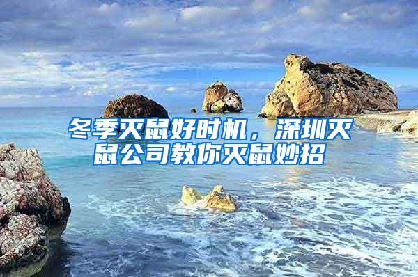 冬季滅鼠好時機，深圳滅鼠公司教你滅鼠妙招