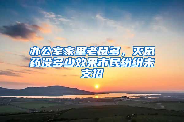 辦公室家里老鼠多,滅鼠藥沒多少效果市民紛紛來支招