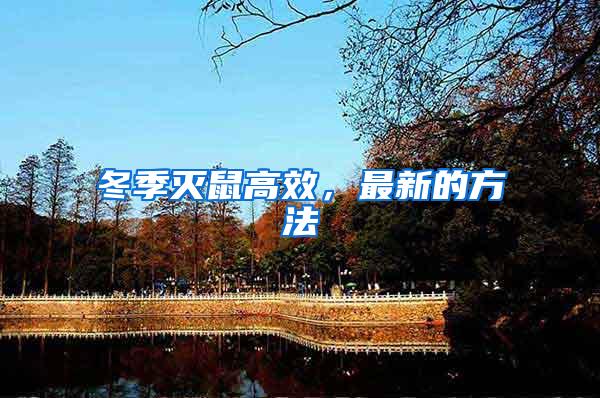 冬季滅鼠高效,最新的方法