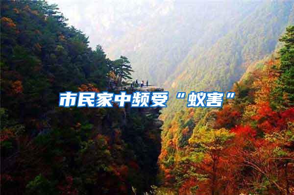 市民家中頻受“蟻害”