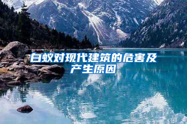 白蟻對現代建筑的危害及產生原因
