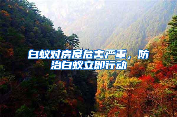 白蟻對房屋危害嚴(yán)重，防治白蟻立即行動