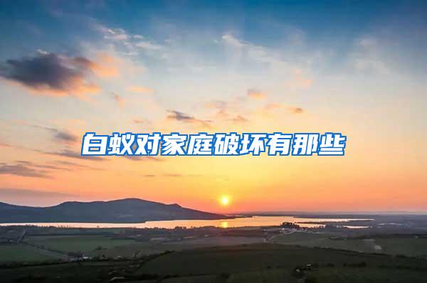 白蟻對家庭破壞有那些