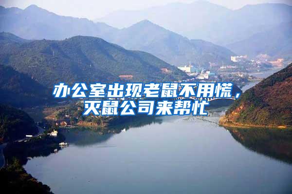 辦公室出現(xiàn)老鼠不用慌，滅鼠公司來幫忙