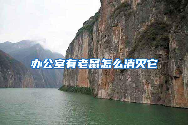 辦公室有老鼠怎么消滅它