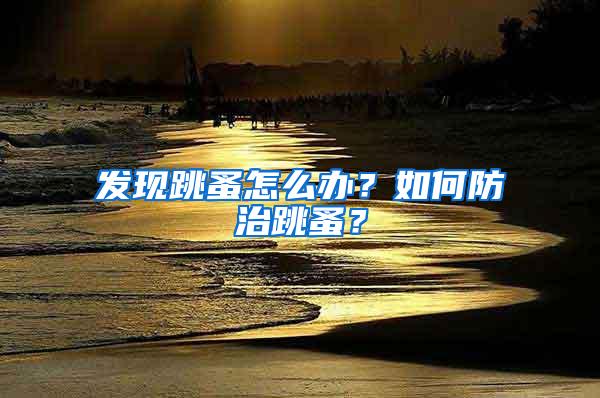 發現跳蚤怎么辦?如何防治跳蚤?
