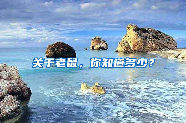 關于老鼠，你知道多少？