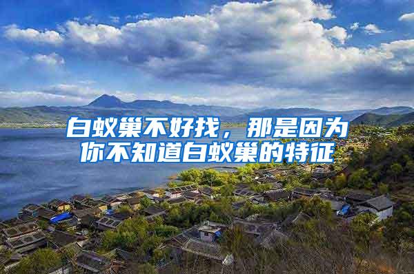 白蟻巢不好找，那是因?yàn)槟悴恢腊紫伋驳奶卣?/></p>
             <p style=