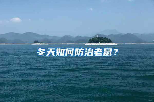 冬天如何防治老鼠？