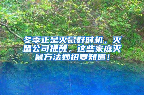 冬季正是滅鼠好時機,滅鼠公司提醒,這些家庭滅鼠方法妙招要知道!