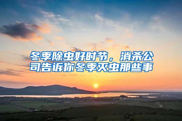 冬季除蟲好時節，消殺公司告訴你冬季滅蟲那些事