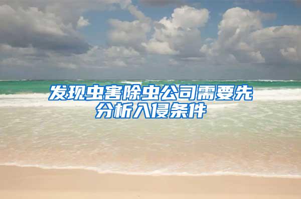 發現蟲害除蟲公司需要先分析入侵條件