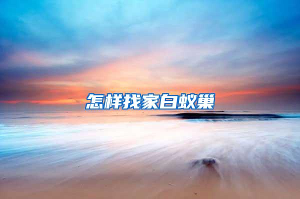 怎樣找家白蟻巢
