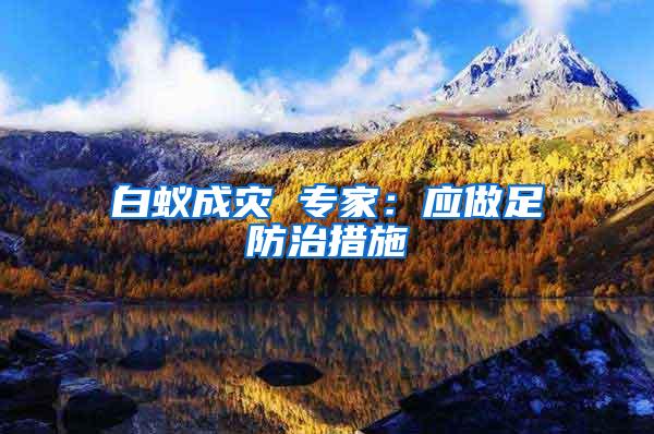 白蟻成災 專家:應做足防治措施