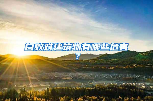 白蟻對建筑物有哪些危害？