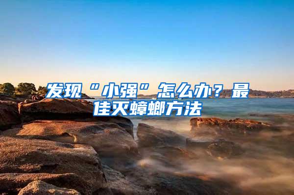 發現“小強”怎么辦?最佳滅蟑螂方法