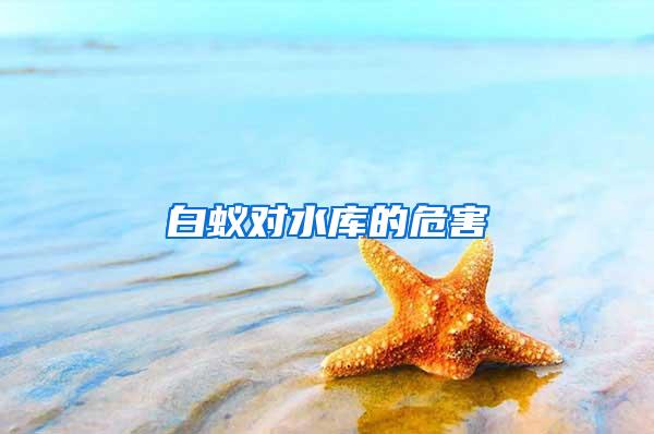 白蟻對水庫的危害