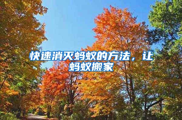 快速消滅螞蟻的方法，讓螞蟻搬家