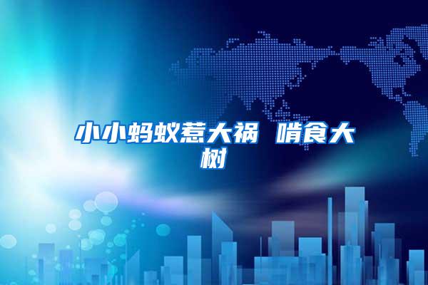 小小螞蟻惹大禍 啃食大樹