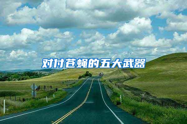 對付蒼蠅的五大武器