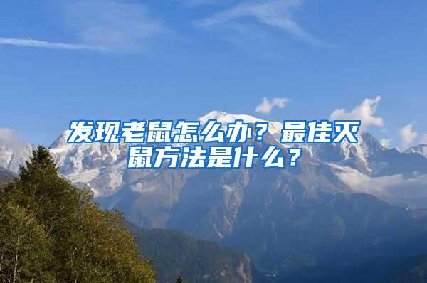 發現老鼠怎么辦?最佳滅鼠方法是什么?