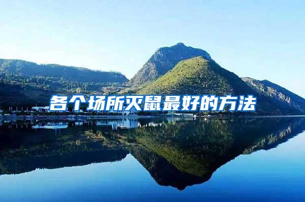 各個場所滅鼠最好的方法