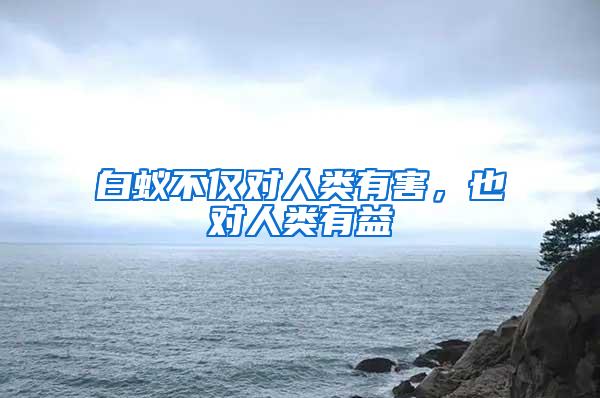 白蟻不僅對人類有害,也對人類有益