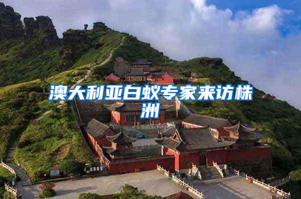 澳大利亞白蟻專家來(lái)訪株洲