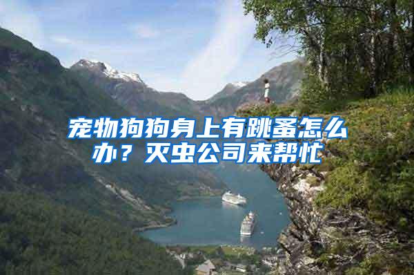 寵物狗狗身上有跳蚤怎么辦？滅蟲公司來幫忙