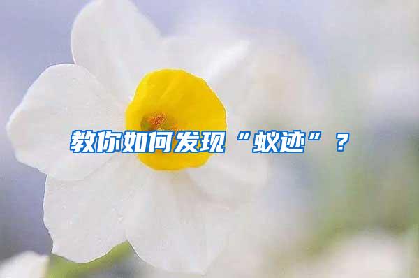 教你如何發(fā)現(xiàn)“蟻跡”？