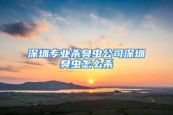 深圳專業殺臭蟲公司深圳臭蟲怎么殺