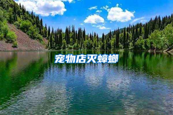 寵物店滅蟑螂