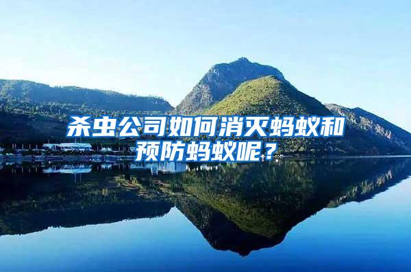 殺蟲公司如何消滅螞蟻和預防螞蟻呢?