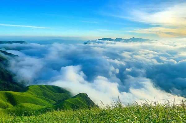 白蟻猖狂幾個月把門框吃空