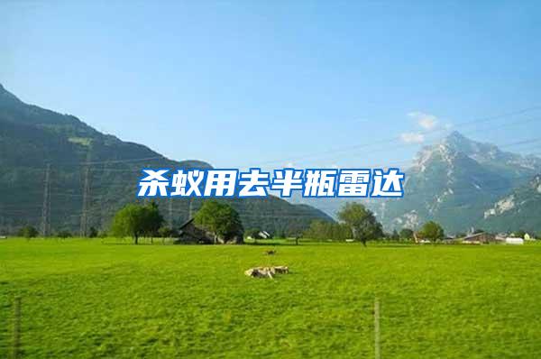 殺蟻用去半瓶雷達