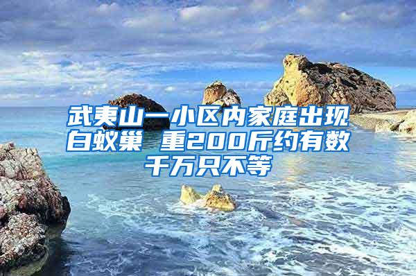 武夷山一小區(qū)內(nèi)家庭出現(xiàn)白蟻巢 重200斤約有數(shù)千萬只不等