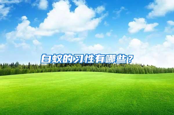 白蟻的習(xí)性有哪些？