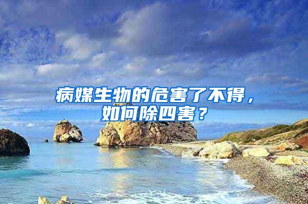 病媒生物的危害了不得,如何除四害?