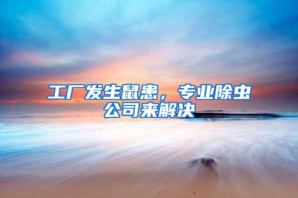 工廠發生鼠患，專業除蟲公司來解決