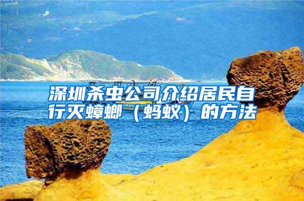 深圳殺蟲公司介紹居民自行滅蟑螂(螞蟻)的方法